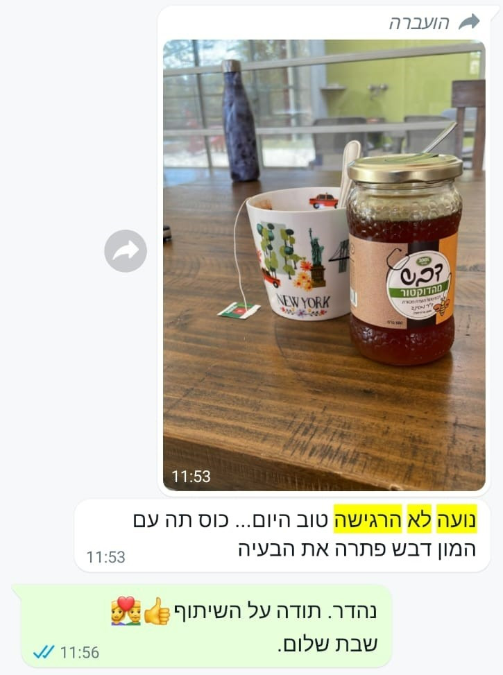 דבש טהור